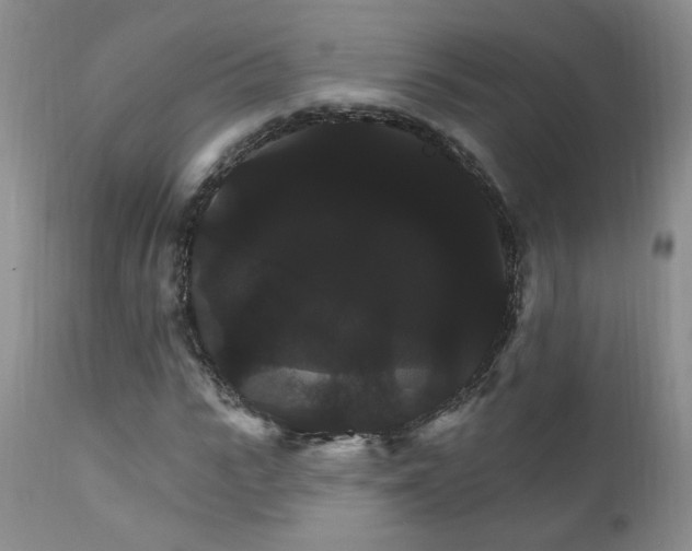 X0000111910919200907271218