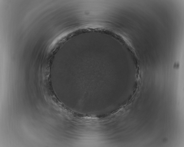 X0000111910920200907271218