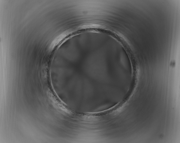 X0000111910921200907271218