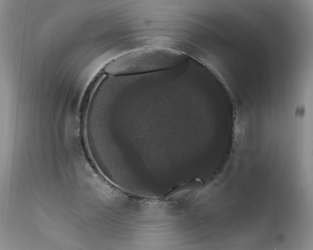 X0000111910924200907271218