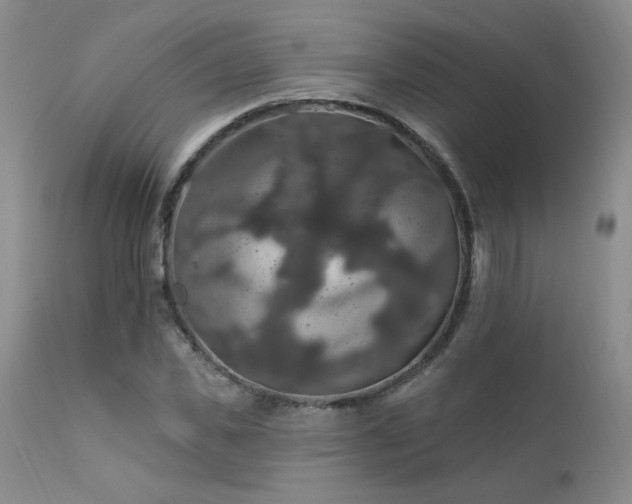 X0000111910925200907271218