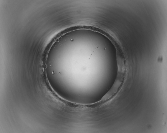 X0000111910926200907271218