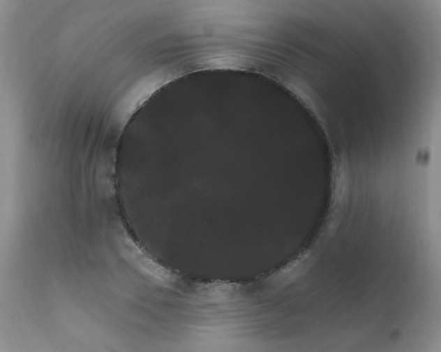 X0000111910930200907271218