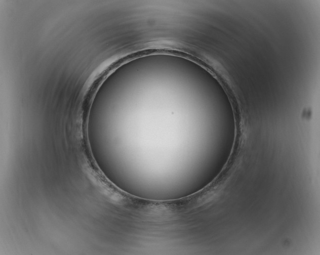 X0000111910931200907271218