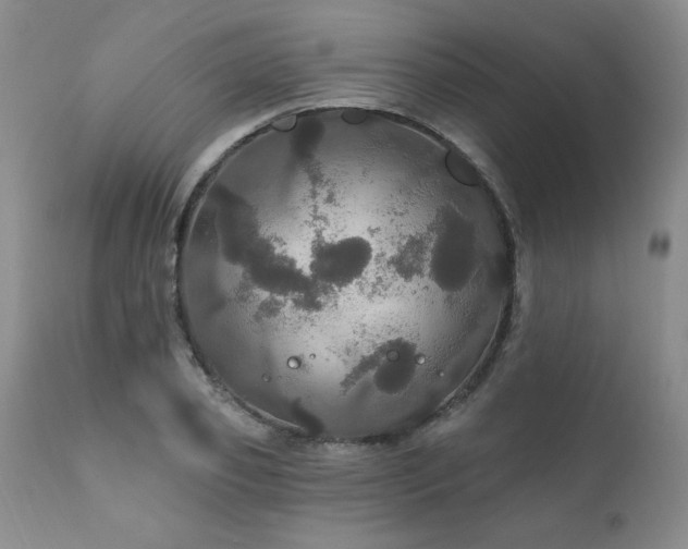 X0000111910933200907271218