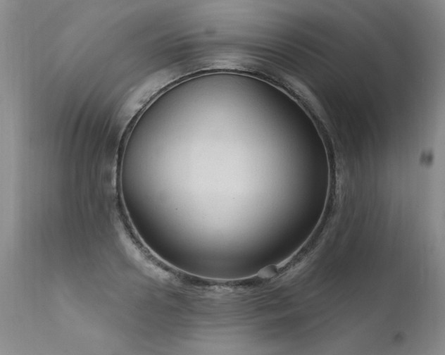 X0000111910938200907271218