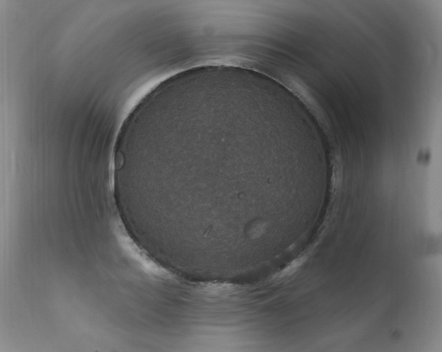 X0000111910940200907271218