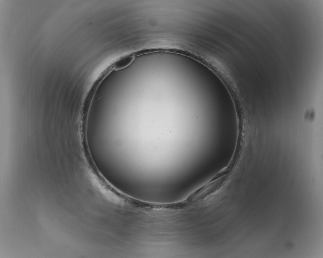 X0000111910942200907271218