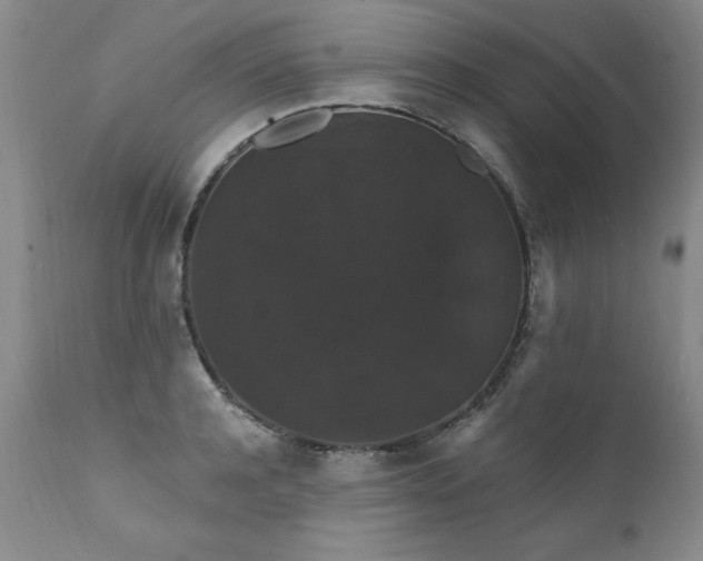X0000111910944200907271218