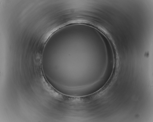 X0000111910945200907271218