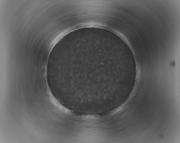 X0000111910946200907271218