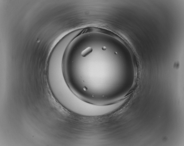X0000111910948200907271218