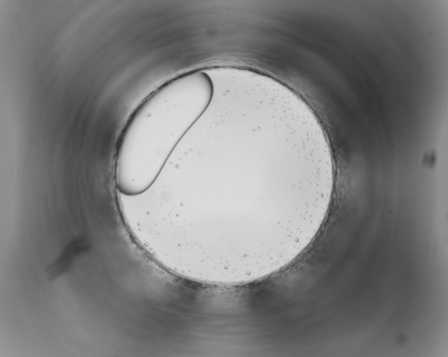 X0000111910950200907271218