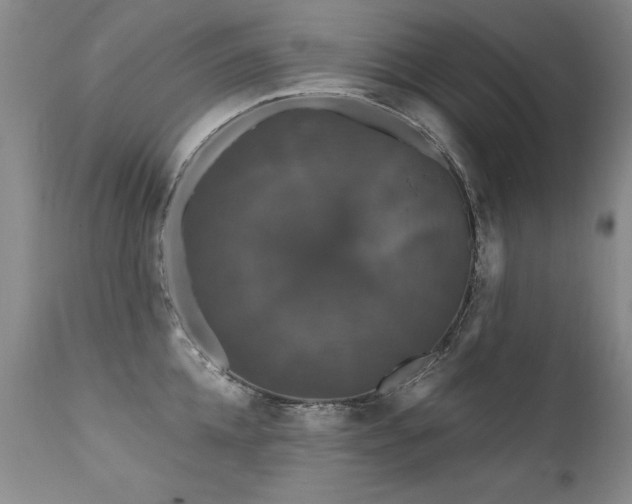 X0000111910952200907271219