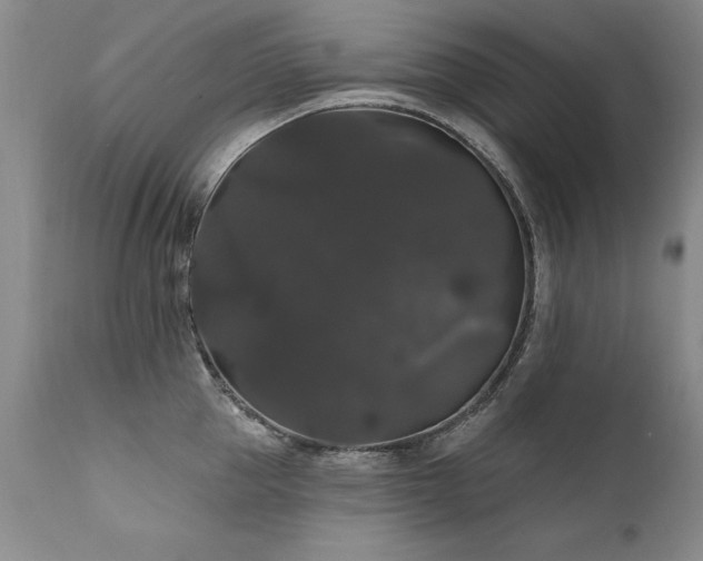 X0000111910953200907271219