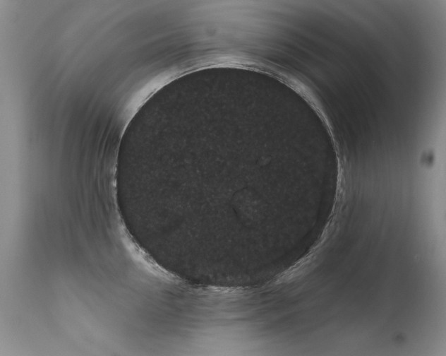 X0000111910954200907271219
