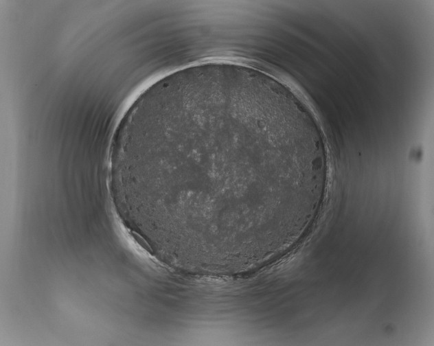 X0000111910955200907271219