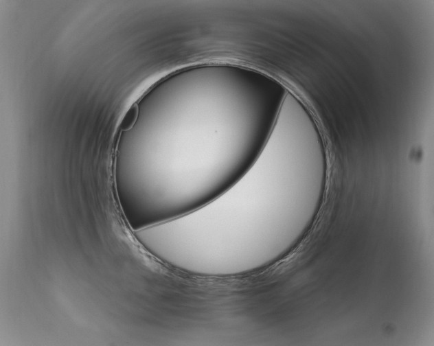 X0000111910956200907271219