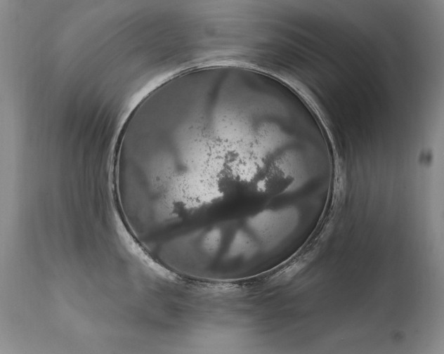 X0000111910957200907271219