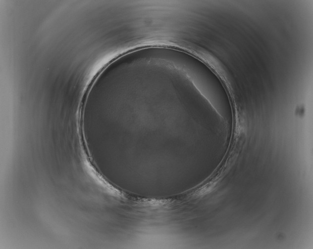 X0000111910958200907271219