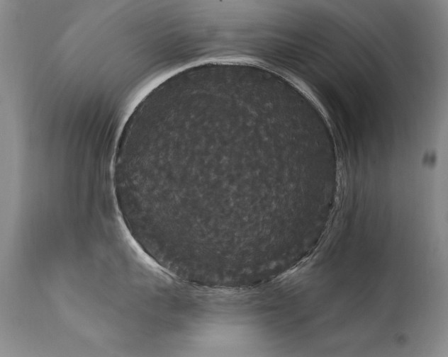 X0000111910959200907271219