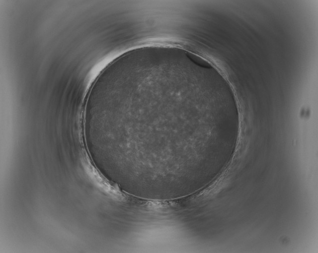 X0000111910960200907271219