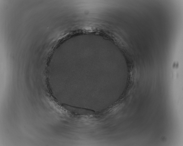 X0000111910961200907271218