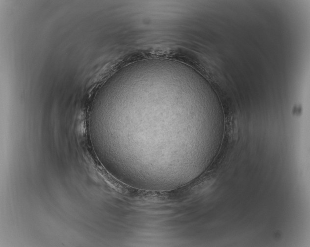 X0000111910962200907271218