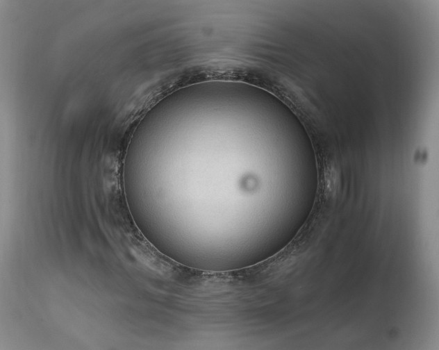 X0000111910964200907271218