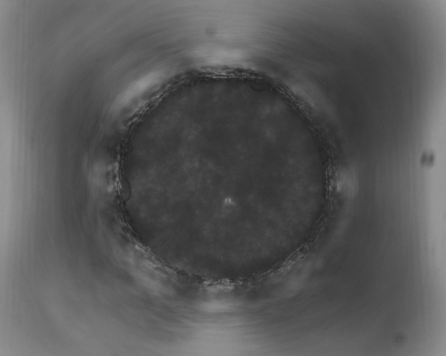 X0000111910965200907271218