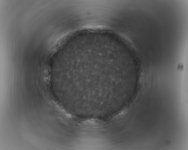X0000111910966200907271218