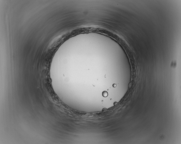 X0000111910967200907271218