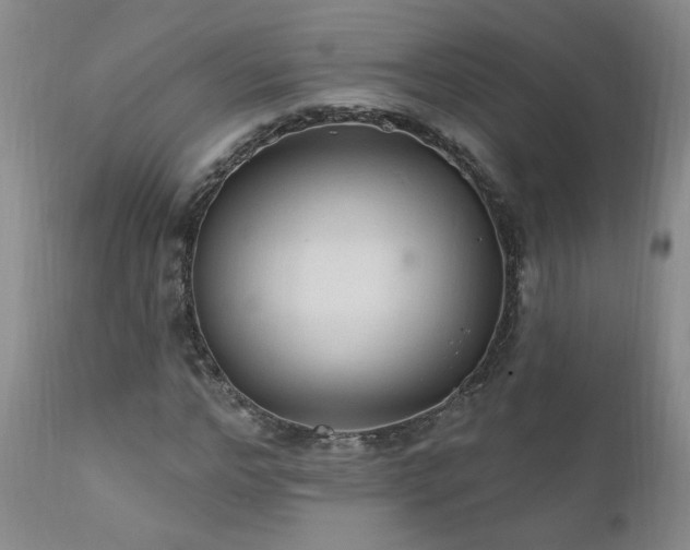 X0000111910968200907271218