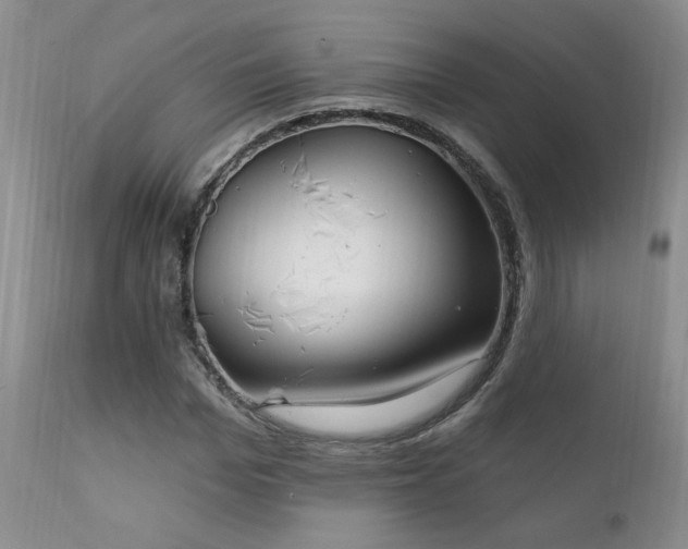 X0000111910969200907271218