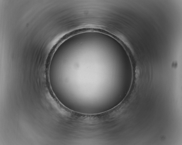 X0000111910972200907271218