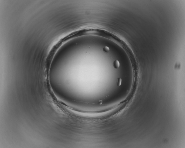 X0000111910973200907271218
