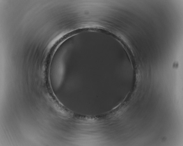 X0000111910975200907271218