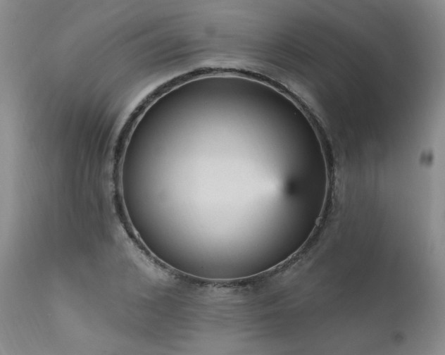 X0000111910976200907271218