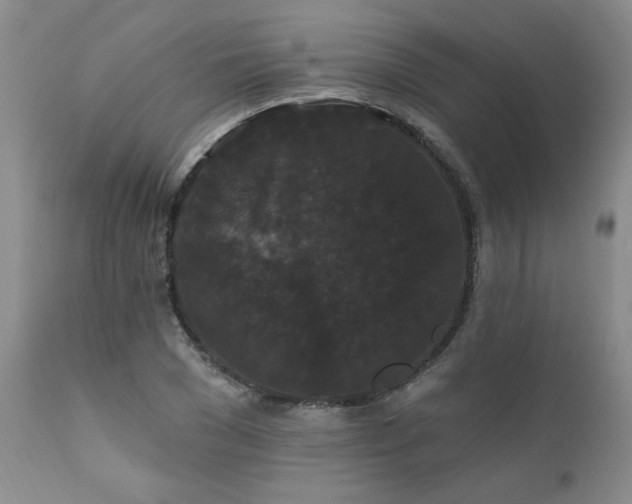 X0000111910977200907271218
