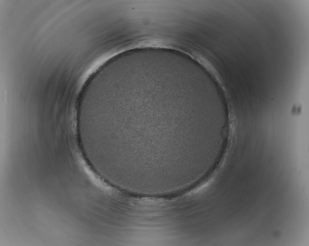 X0000111910981200907271218