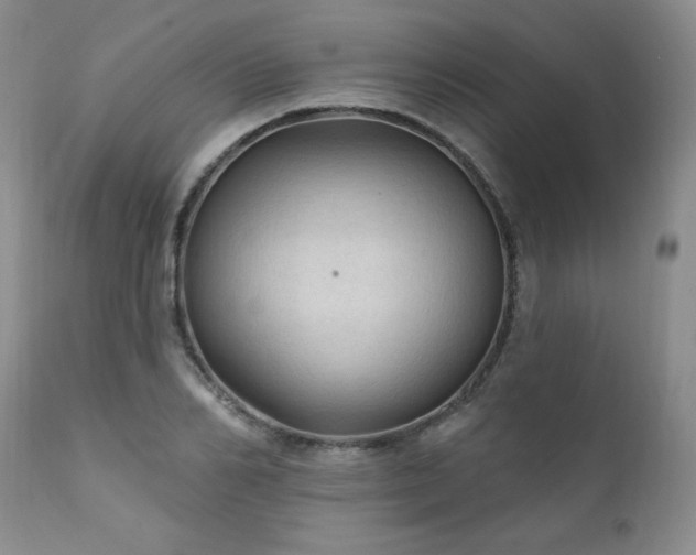 X0000111910982200907271218