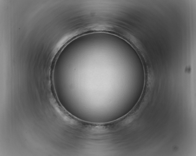 X0000111910986200907271218