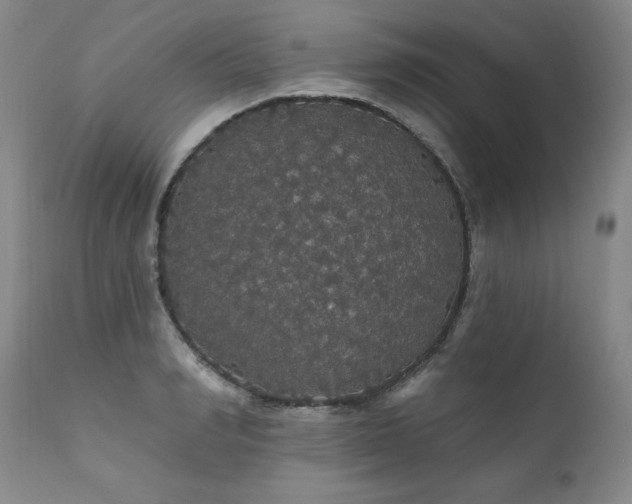 X0000111910990200907271218