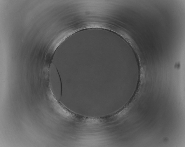 X0000111910993200907271218