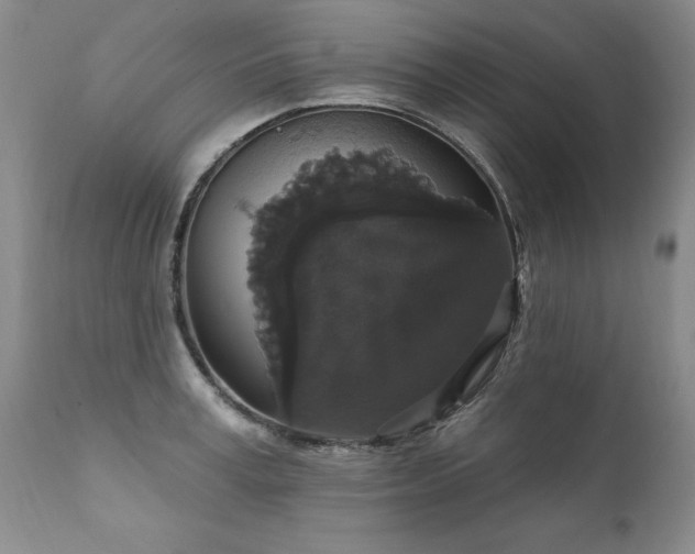 X0000111910995200907271217