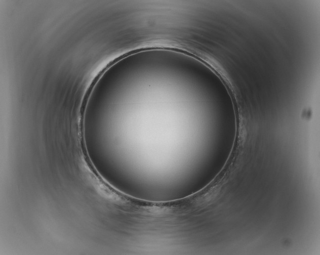 X0000111910996200907271217