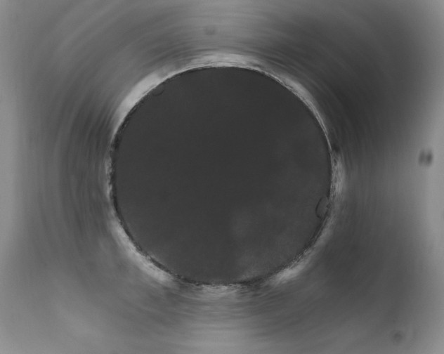 X0000111910997200907271217