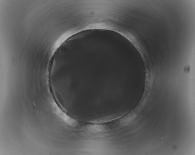 X0000111910998200907271217