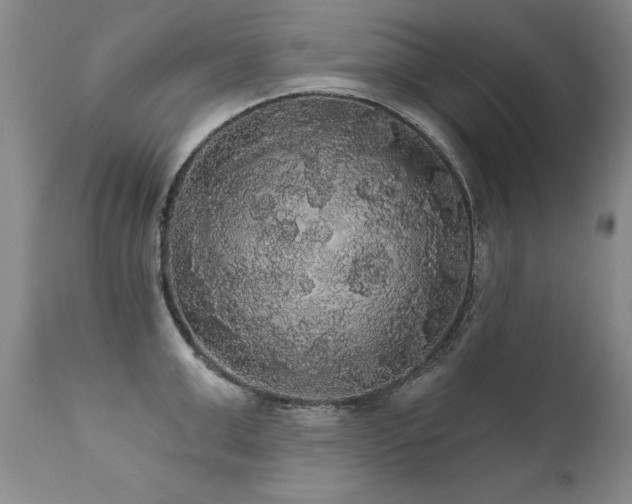 X0000111910999200907271217