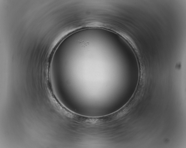 X0000111911000200907271217